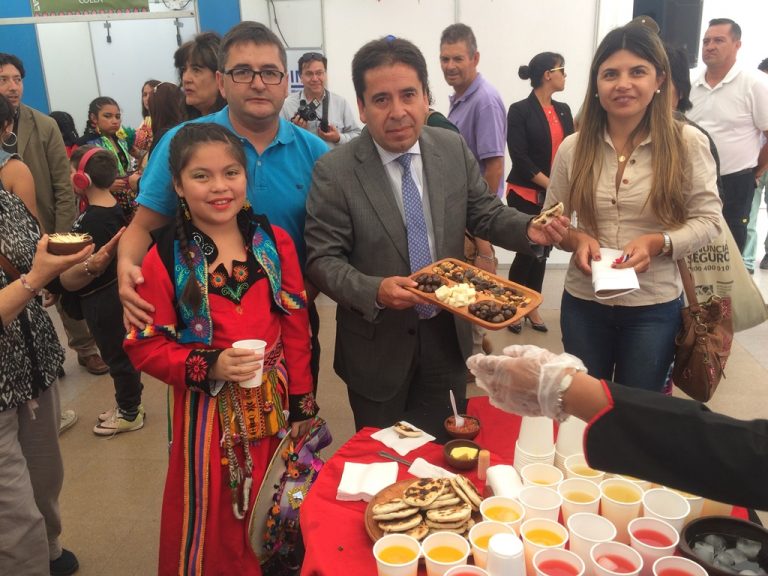 Pueblos Originarios De Atacama Tuvieron Su Expo Indígena Gobierno Regional De Atacama Pueblos Originarios De Atacama Tuvieron Su Expo Indígena Gobierno Regional De Atacama